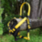 Thumbnail: Y-Front Biothane Harness with Triglides