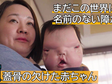 2024年4月14日 Yahoo Newsに!(星野ファミリー)Vol. 1