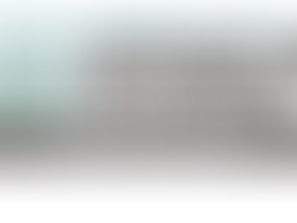 Observatorio por la Justicia de los Defensores del RÃo Guapinol: DÃa 5 de observación