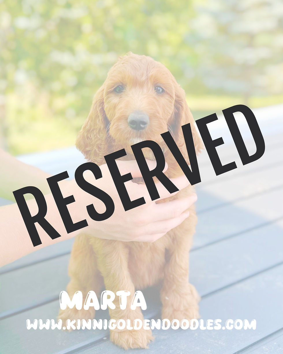 MARTA_NP2026SUMMER_edited