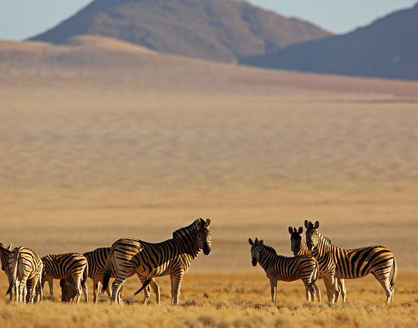 Day Spring Safari Tours is rooted in Namibia