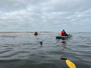 Atlantic Desert Tours Kayaking