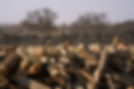 Retort Charcoal bush encroachment