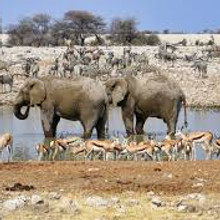 Etosha south