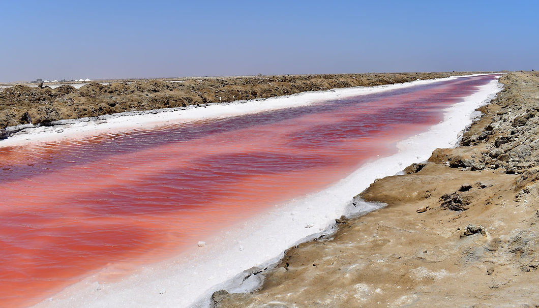 pink lakes walvis bay