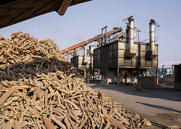 Retort Charcoal Producers production plant