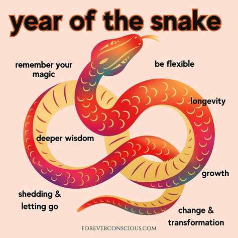 Year of the snake