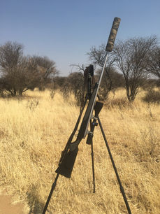 Hunting B (20).jpeg