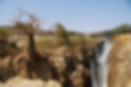 Vast Safaris (4).jpeg
