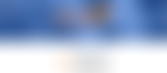 Gecko Glass & Accessories