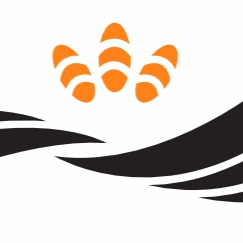 Writer: Namibia Asset Management