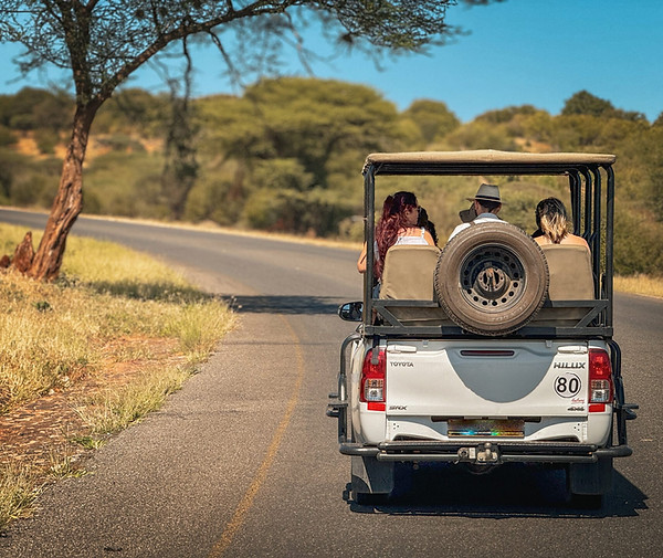 Lower Zambezi Game Drives