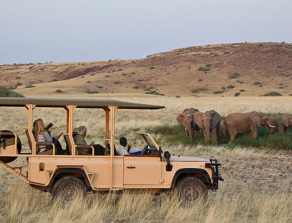 damaraland elephant viewing