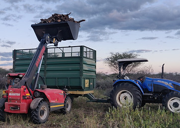 Retort Charcoal Producers debushing