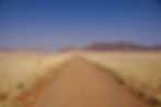Vast Safaris (25).jpeg
