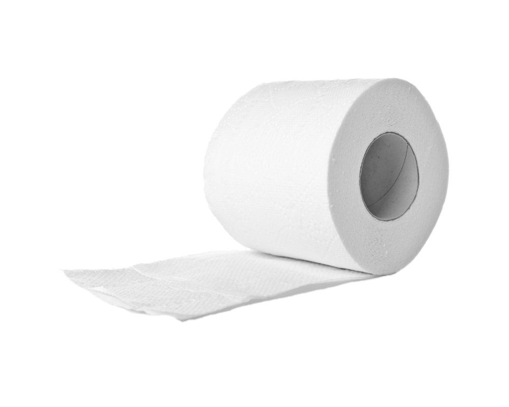 Toilet Tissue Recycled 500 Sheets