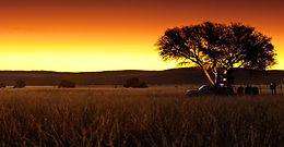 C Africa Camping Safaris