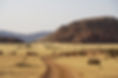 Vast Safaris (29).jpeg