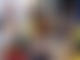 Saiba quem são e o que pensam os políticos da bancada bolsonarista