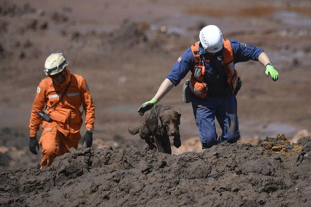Bombeiros de Brumadinho apresentam concentração de alumínio e cobre no sangue