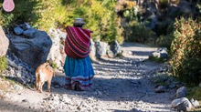 El Cañón del Colca, entre cóndores y andenes milenarios