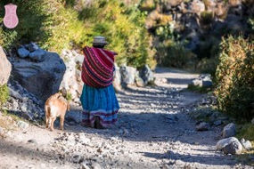 El Cañón del Colca, entre cóndores y andenes milenarios