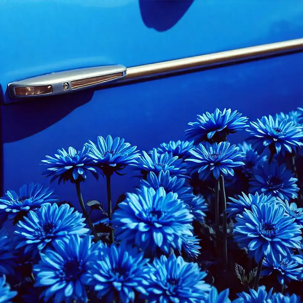 Miniature : Parfum voiture Blue Ginger entouré de citrons et fleurs blanches.  Parfum voitu