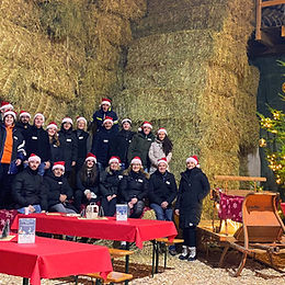 Weihnachtsbaumevent 2025