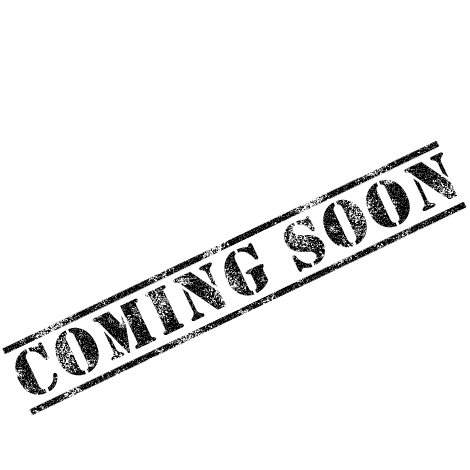 Parafango Anteriore