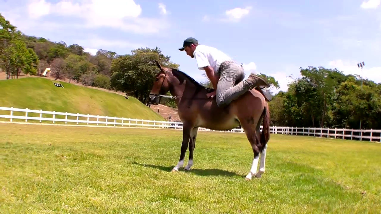 Lote: 22   Sirí dos Coqueiros