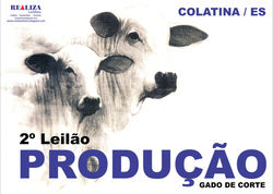 Leilão Produção Colatina