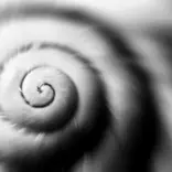 What is fine art nature photography? How is it different from creative nature photography?