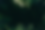 Untitled-2.png