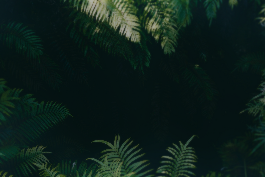Untitled-2.png