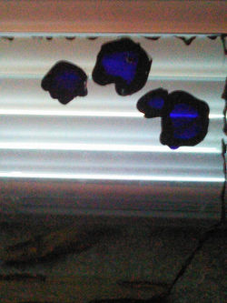 "A Gift"/ 2002-2004/ Lisa Blaylock (Glass)