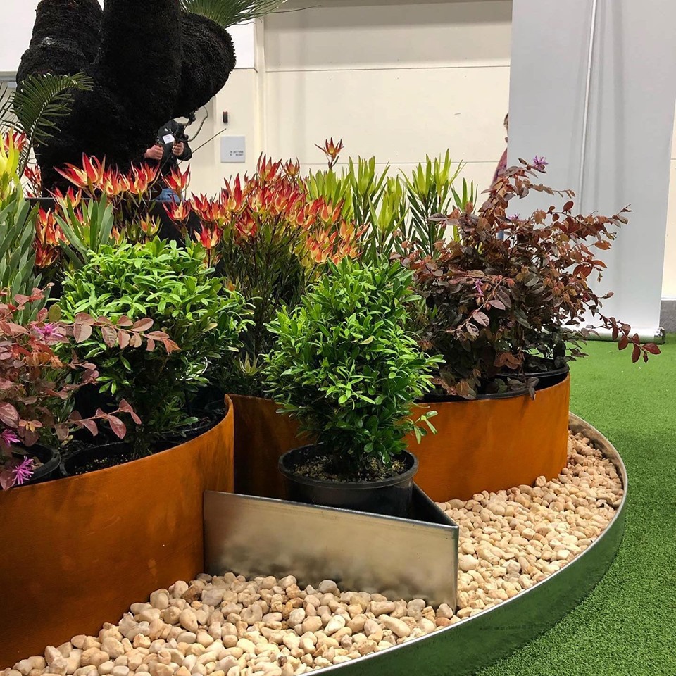 Peards Complex Albury