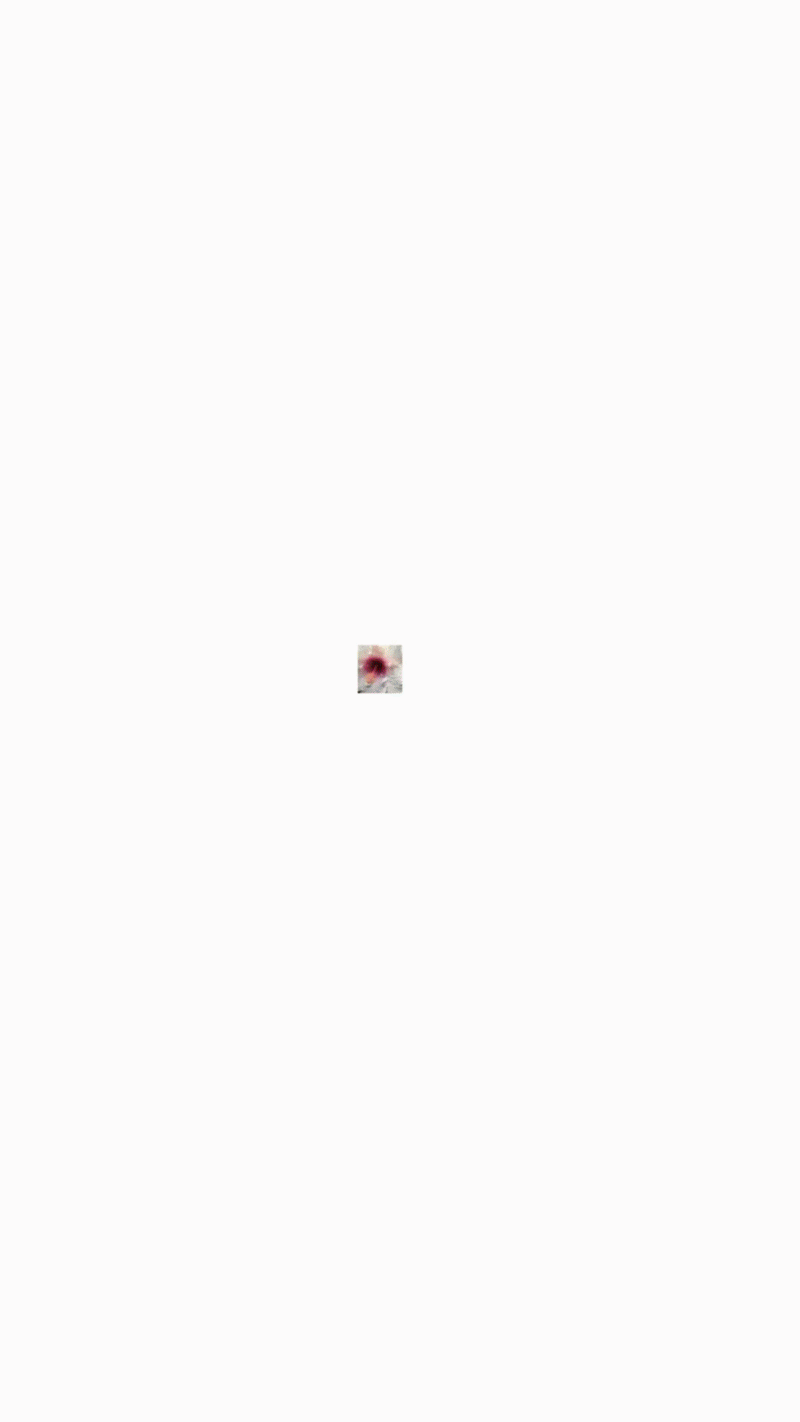 2-ezgif.com-video-to-gif-converter (1).gif