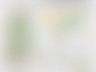 Blended textiles: Flax, hemp and cotton in 19th century France.