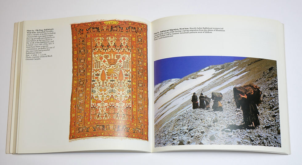Thumbnail: Tribal Rugs: An introduction to the weaving of the tribes of Iran