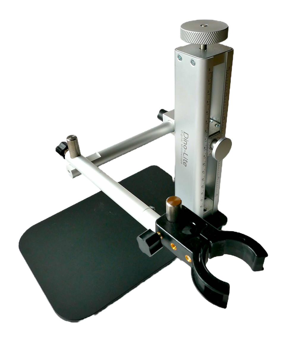 Thumbnail: Dine-Lite EDGE 5, Mpxl, with stand