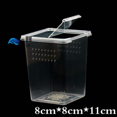 Thumbnail: x10 Piece Plastic Spiderling Enclosure Boxes