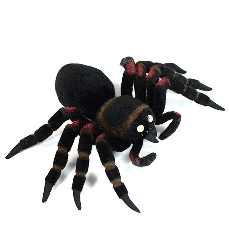 Spider Plush Toy