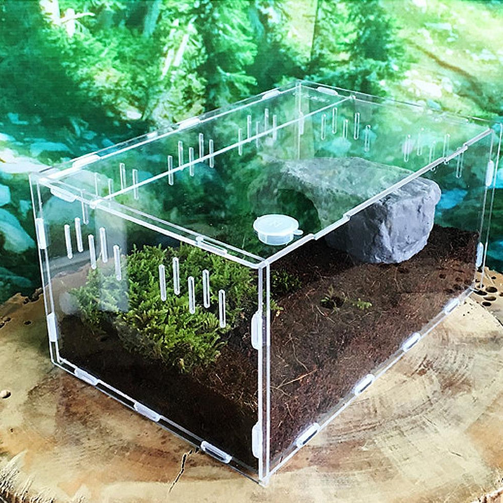 Thumbnail: Acrylic Enclosure With/Without Thermometer