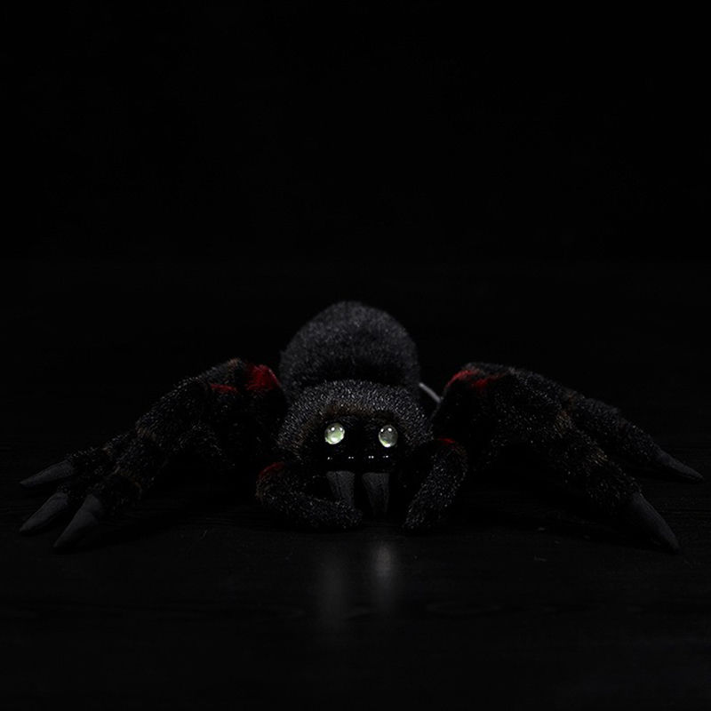 Thumbnail: Spider Plush Toy