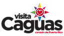 LOGO1.png