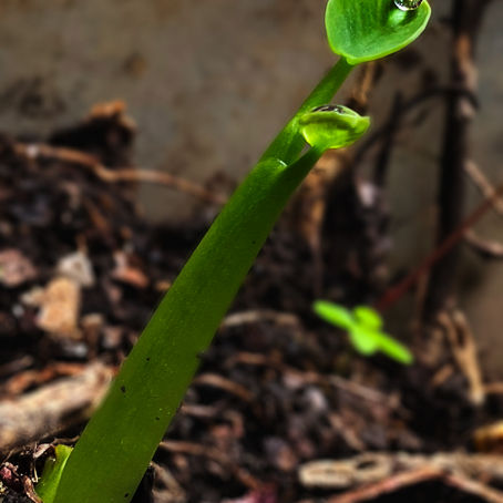 Mini miracles will mesmerise❤️