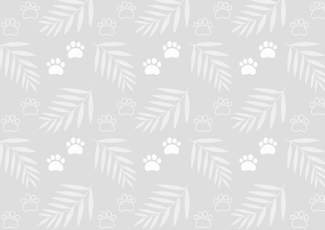 patternpaw3_edited.jpg