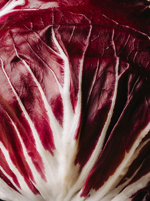 Purple cabbage in SALZI, Vienna