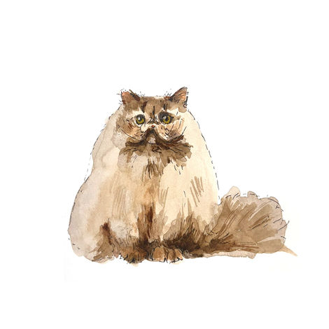 ADB5C067-0C30-401C-91AF-04C38F6FB411