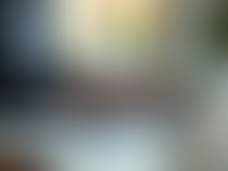 Advantages of consulting with a certified and licensed agent when investing in Bacalar